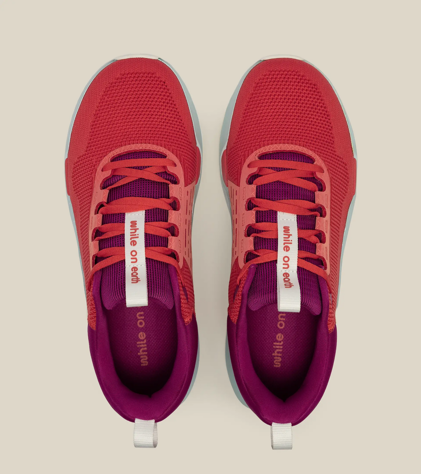 WHILE ON EARTH | Move Trainer Sorbet/Salt