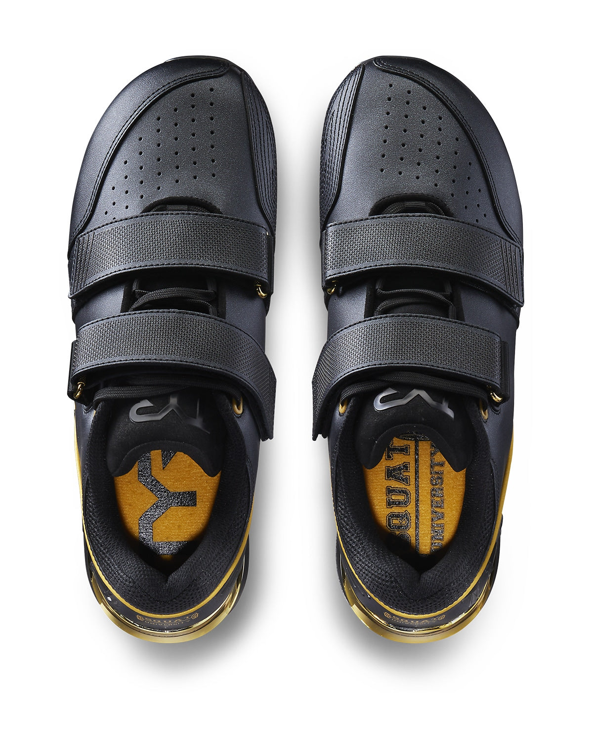 TYR | TYRFORCE Elite Carbon Lifter Black/Gold