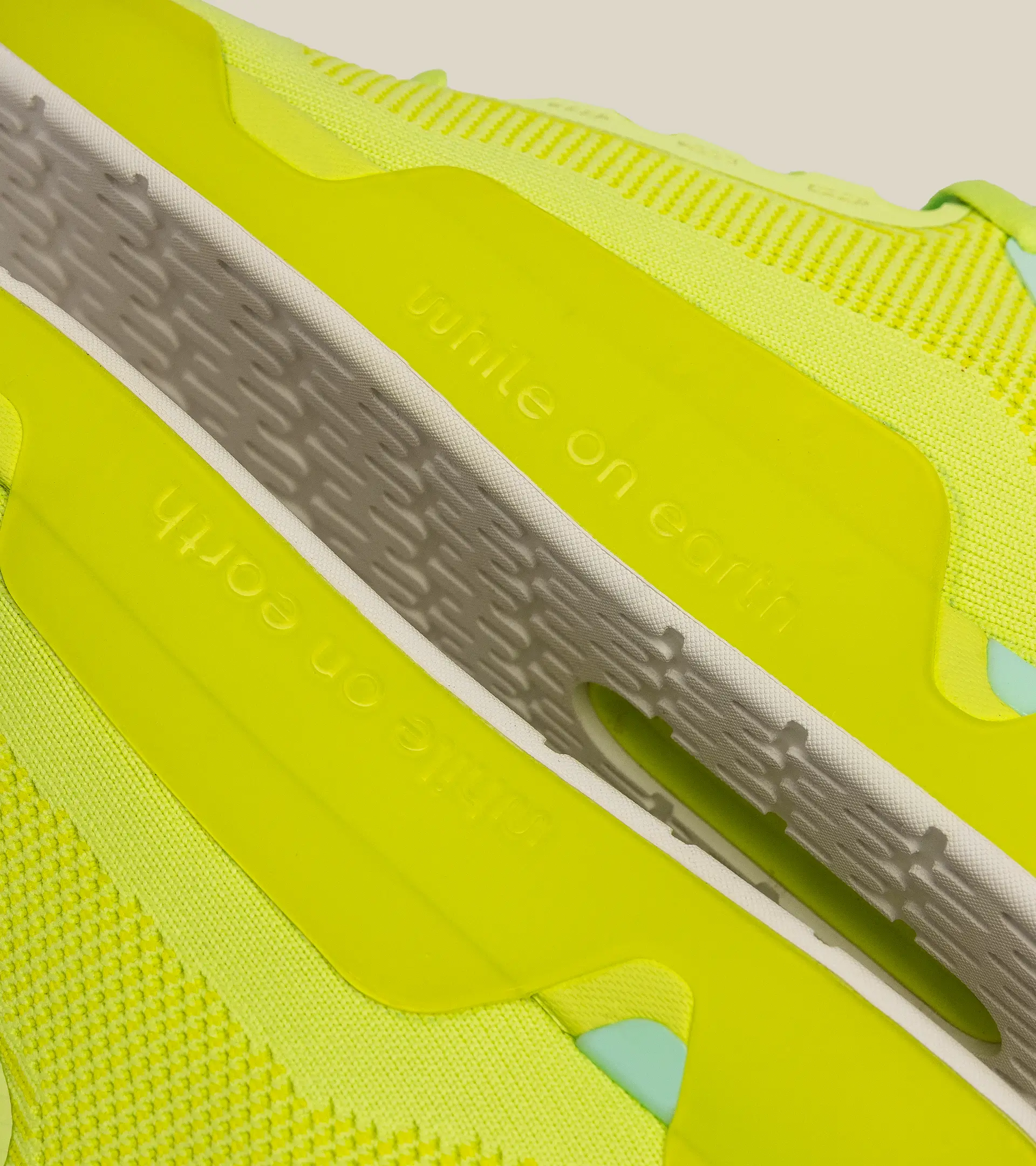 WHILE ON EARTH | Move Trainer Citrus/Sun