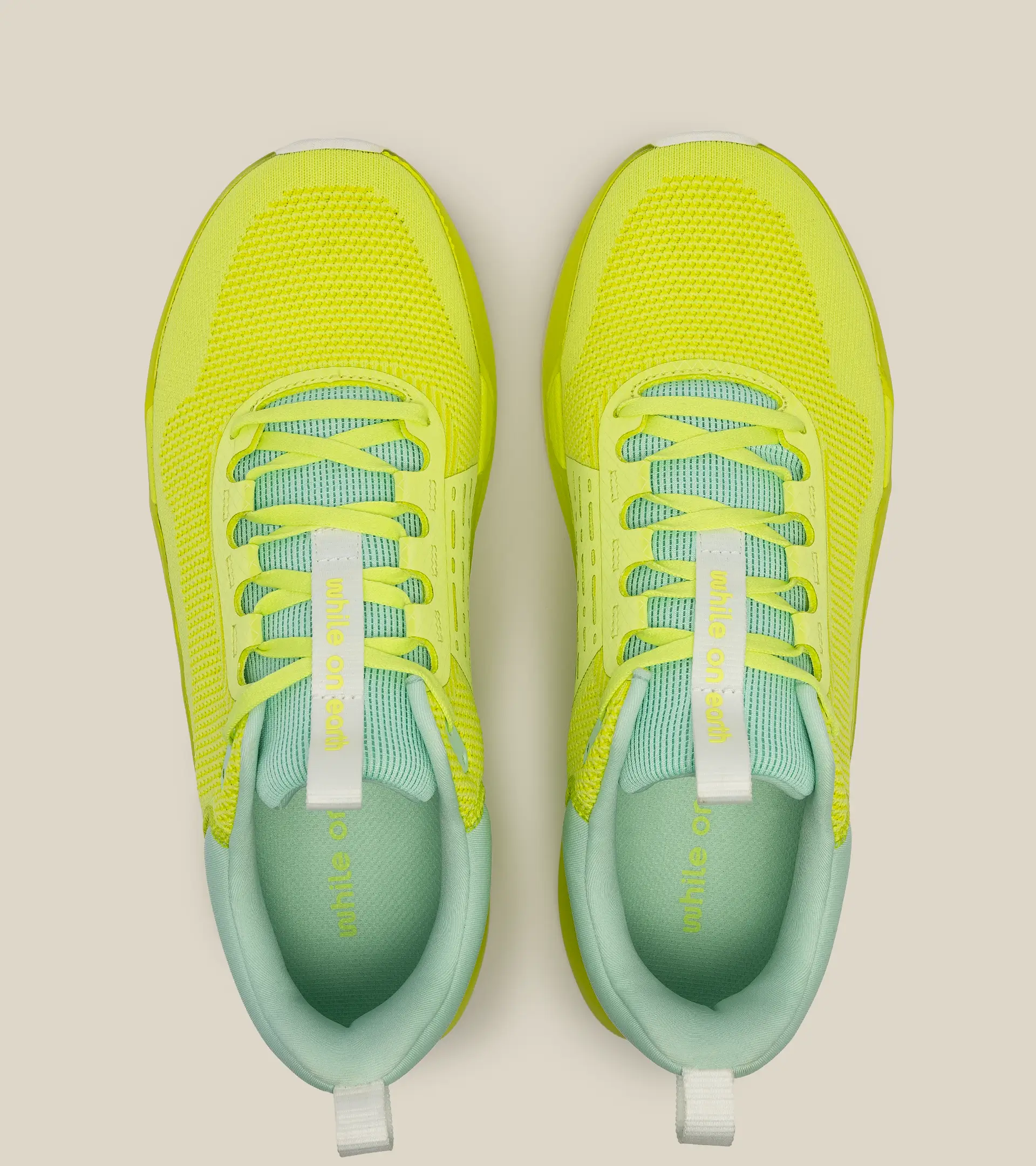 WHILE ON EARTH | Move Trainer Citrus/Sun